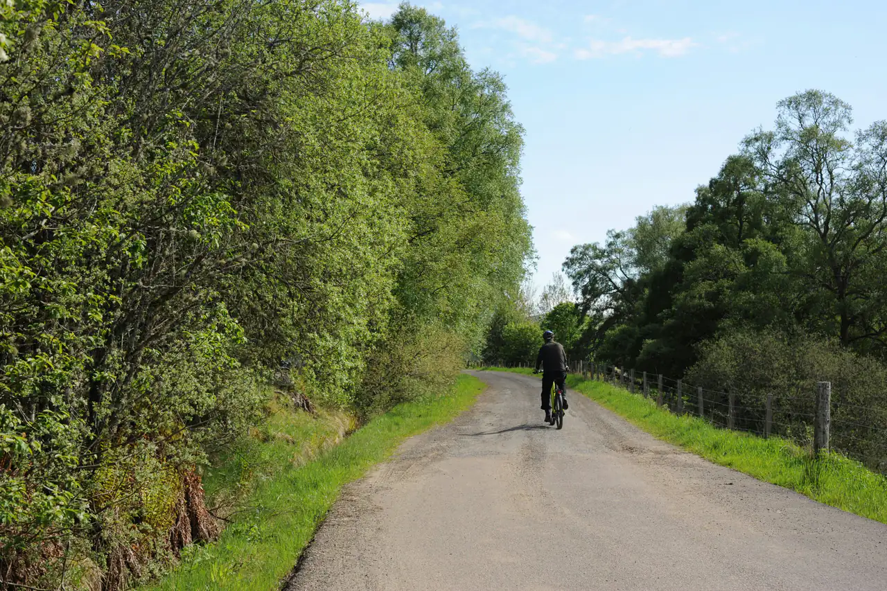 A cyclist on a tree-lined gravel road
